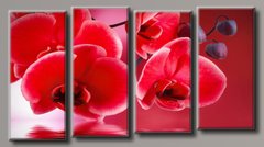 Модульная картина на холсте из 4-х частей "Красная орхидея"